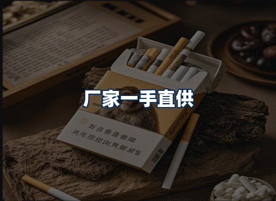 专业团队办公环境